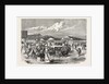 Judging the Cattle at the Plymouth Agricultural Show, UK, 1865 by Anonymous