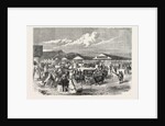 Judging the Cattle at the Plymouth Agricultural Show, UK, 1865 by Anonymous