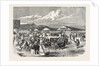 Judging the Cattle at the Plymouth Agricultural Show, UK, 1865 by Anonymous