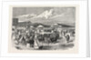 Judging the Cattle at the Plymouth Agricultural Show, UK, 1865 by Anonymous