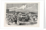 Judging the Cattle at the Plymouth Agricultural Show, UK, 1865 by Anonymous