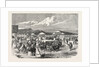 Judging the Cattle at the Plymouth Agricultural Show, UK, 1865 by Anonymous