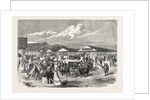 Judging the Cattle at the Plymouth Agricultural Show, UK, 1865 by Anonymous