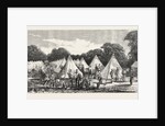 The Volunteer Artillery Camp at Shoeburyness, UK, 1865 by Anonymous