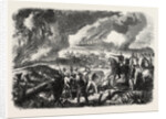 Burning of Cork-Tree Forests, in the District of Jemappes, Philipville, Algeria, 1865 by Anonymous