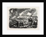 Burning of Cork-Tree Forests, in the District of Jemappes, Philipville, Algeria, 1865 by Anonymous