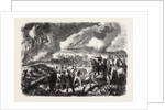 Burning of Cork-Tree Forests, in the District of Jemappes, Philipville, Algeria, 1865 by Anonymous