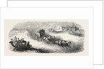 The Suez Railway: Coach Service in the Egyptian Desert, 1857 by Anonymous