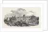 The New Asylum for Idiots, at Earlswood Common, Redhill, Surrey, UK, 1854 by Anonymous