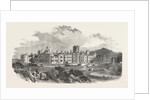 The New Asylum for Idiots, at Earlswood Common, Redhill, Surrey, UK, 1854 by Anonymous