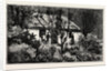 A Cottage in the Bush, Cape Colony, South Africa by Anonymous