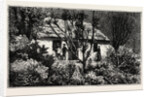 A Cottage in the Bush, Cape Colony, South Africa by Anonymous