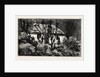 A Cottage in the Bush, Cape Colony, South Africa by Anonymous