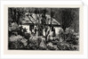 A Cottage in the Bush, Cape Colony, South Africa by Anonymous