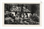A Cottage in the Bush, Cape Colony, South Africa by Anonymous