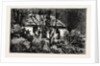 A Cottage in the Bush, Cape Colony, South Africa by Anonymous