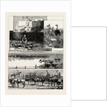 Ostrich Farming at Heatherton, Near Grahamstown, South Africa by Anonymous