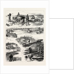 Emigrant Life in British North America by Anonymous