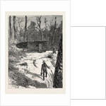 My First Residence, Gold in Canada, Emigrant Life by Anonymous