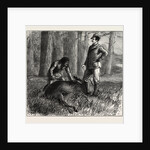 The Dead Moose by Anonymous