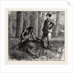 The Dead Moose by Anonymous