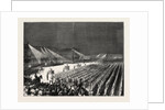 The Emperor of Germany at St. Petersburg, Russia: Military Concert by Electric Light Before the Winter Palace, 1873 by Anonymous