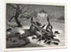 The The Horrors of War: on the Road to Beaugency, France, 1871 by Anonymous