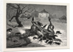 The The Horrors of War: on the Road to Beaugency, France, 1871 by Anonymous