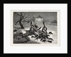 The The Horrors of War: on the Road to Beaugency, France, 1871 by Anonymous