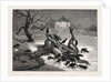 The The Horrors of War: on the Road to Beaugency, France, 1871 by Anonymous