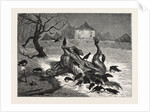 The The Horrors of War: on the Road to Beaugency, France, 1871 by Anonymous