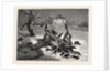 The The Horrors of War: on the Road to Beaugency, France, 1871 by Anonymous