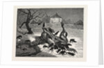 The The Horrors of War: on the Road to Beaugency, France, 1871 by Anonymous
