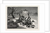 The The Horrors of War: on the Road to Beaugency, France, 1871 by Anonymous
