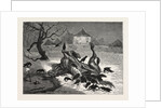 The The Horrors of War: on the Road to Beaugency, France, 1871 by Anonymous