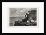 The Landslip at Whitby, UK, 1871 by Anonymous