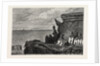 The Landslip at Whitby, UK, 1871 by Anonymous
