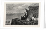 The Landslip at Whitby, UK, 1871 by Anonymous