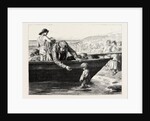 The Fisherman's Darling by Anonymous