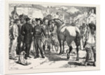 The Buying Horses in Brittany for the French Army, France, 1871 by Anonymous