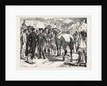 The Buying Horses in Brittany for the French Army, France, 1871 by Anonymous