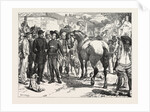 The Buying Horses in Brittany for the French Army, France, 1871 by Anonymous