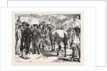 The Buying Horses in Brittany for the French Army, France, 1871 by Anonymous