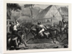 Mustering Cattle in Australia, 1871 by Anonymous