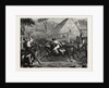 Mustering Cattle in Australia, 1871 by Anonymous