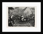 Mustering Cattle in Australia, 1871 by Anonymous