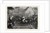 Mustering Cattle in Australia, 1871 by Anonymous