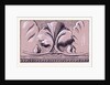 Renaissance Ornament by Anonymous