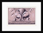 Renaissance Ornament by Anonymous