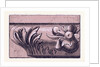 Renaissance Ornament by Anonymous